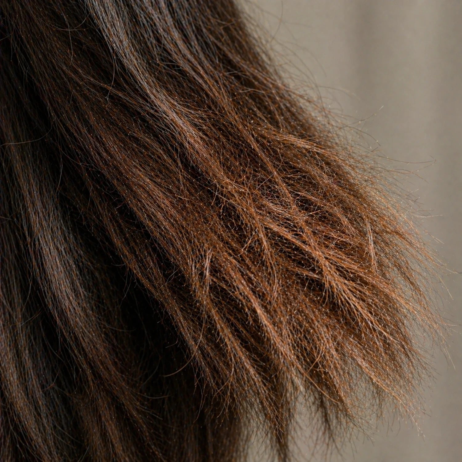 concern:dry & damaged-hair