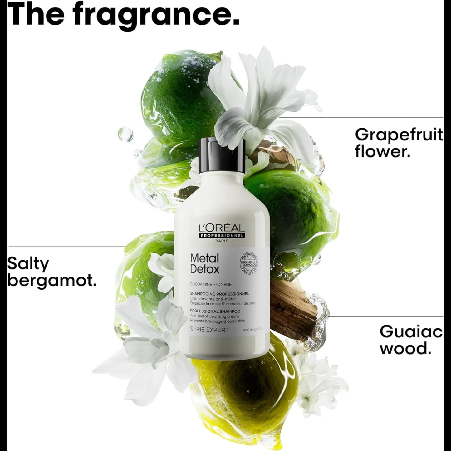 L'Oréal Professionnel Metal Detox Shampoo 300Ml